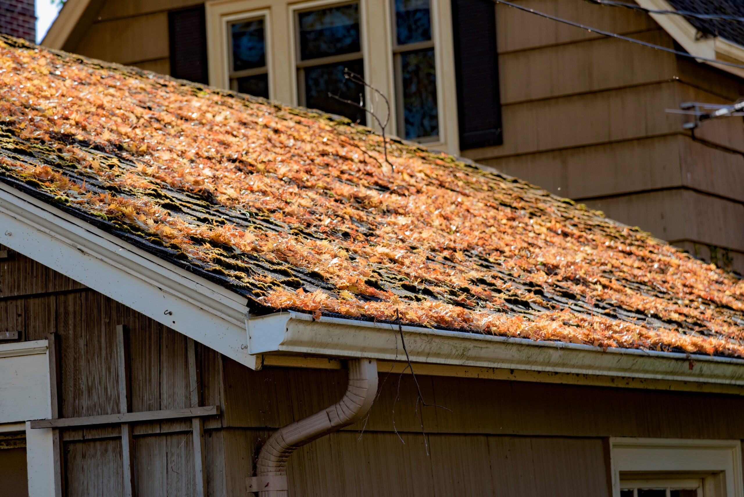 spring roof problems, spring roof damage, spring weather damage, Edmonton