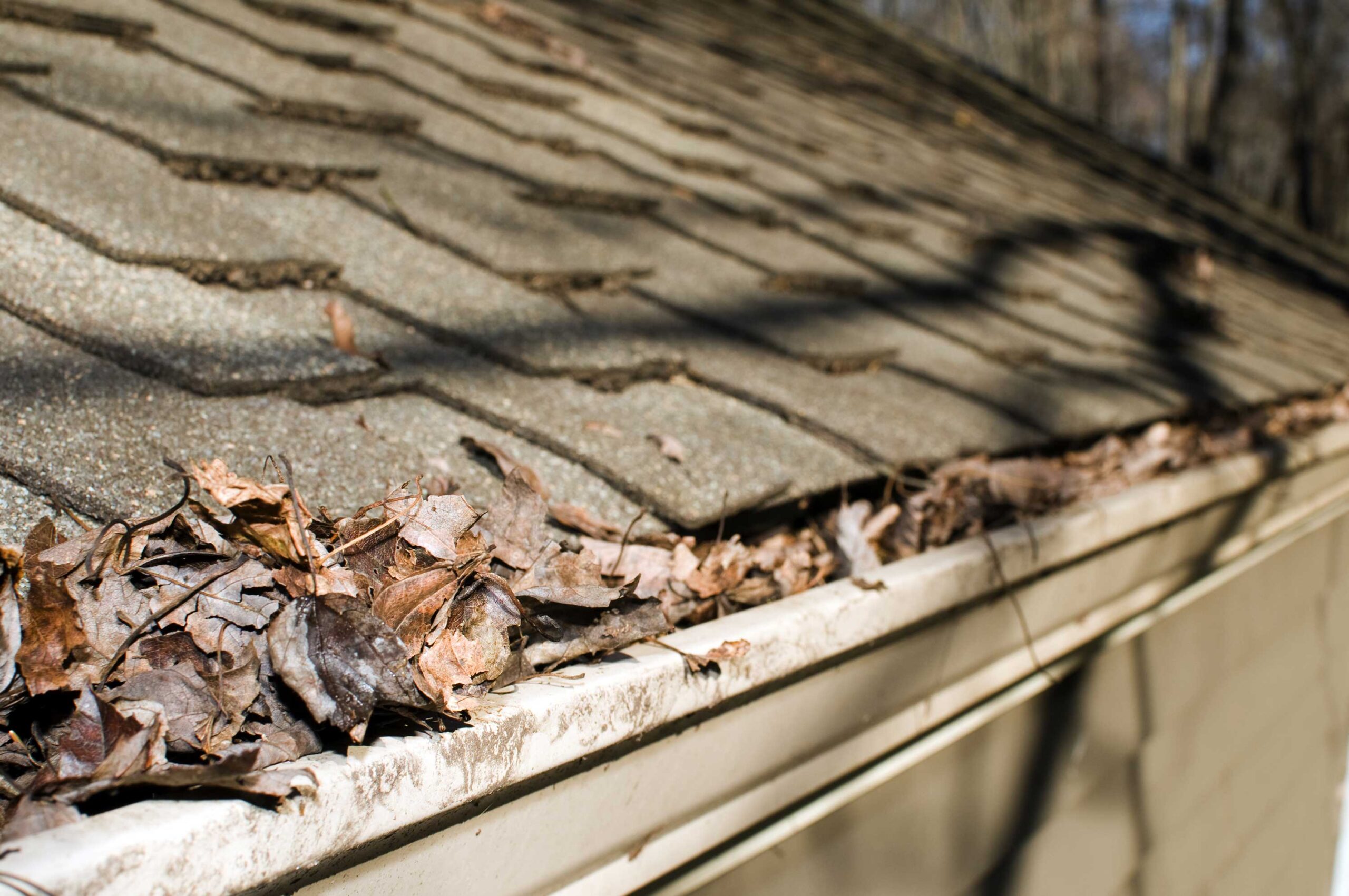 spring roof problems, spring roof damage, spring weather damage